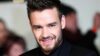 Photo: Liam Payne Dies Intestate: Why Making a Will is Crucial for Certainty and Control